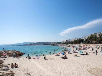 What's New in Cannes